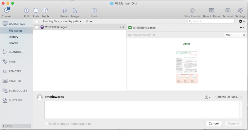 Sourcetreeに変更内容が表示されました